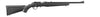 Carabine Ruger American Rimfire Compact